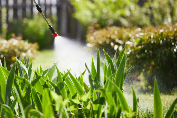 24/7 Emergency Mosquito Control experts in Jamestown, CA
