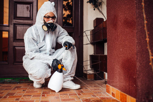 Reliable Mosquito Control contractor in Jamestown, CA by Nex Pest Control